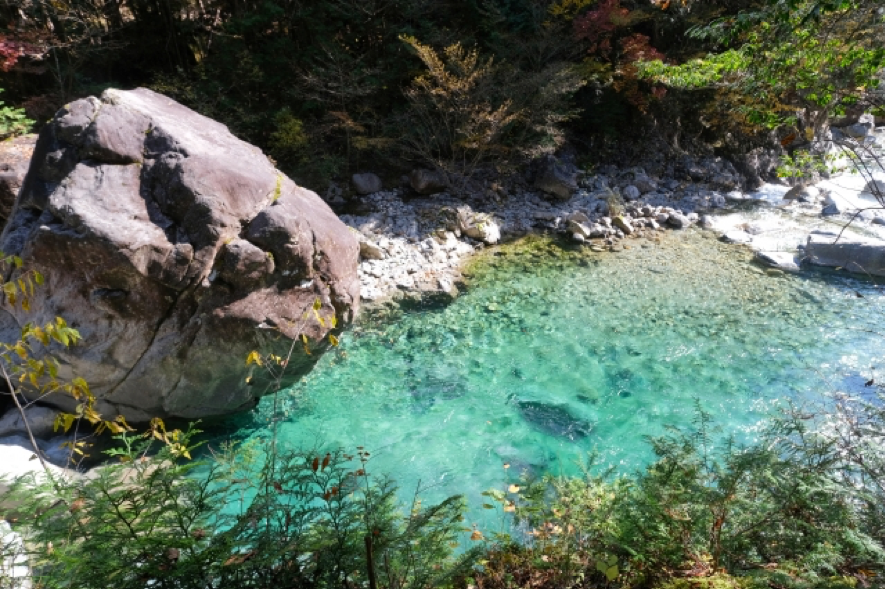 長野県の渓流釣りが楽しめるオススメキャンプ場6選を紹介 ながのwebタウン情報