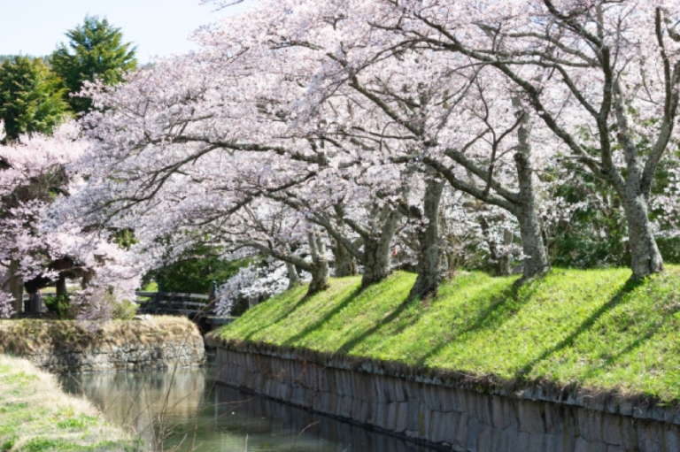 人気〜穴場まで！長野県佐久市の観光でオススメのスポット5選！ | ながのWEBタウン情報