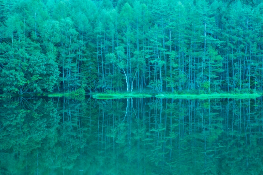 森の中にある絶景の湖
