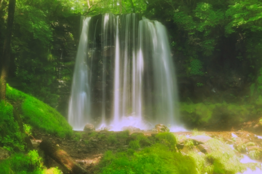 絶景の滝と緑の苔