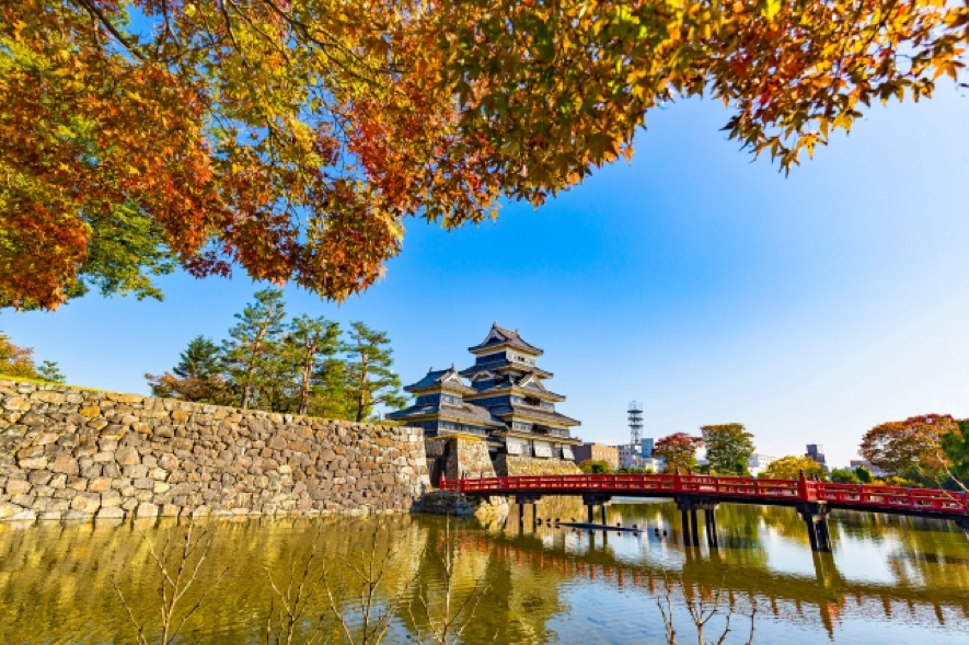 紅葉が広がる松本城