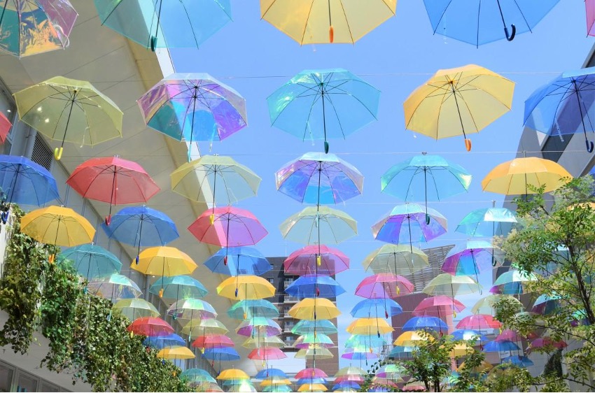 無数の傘が飾られている観光地