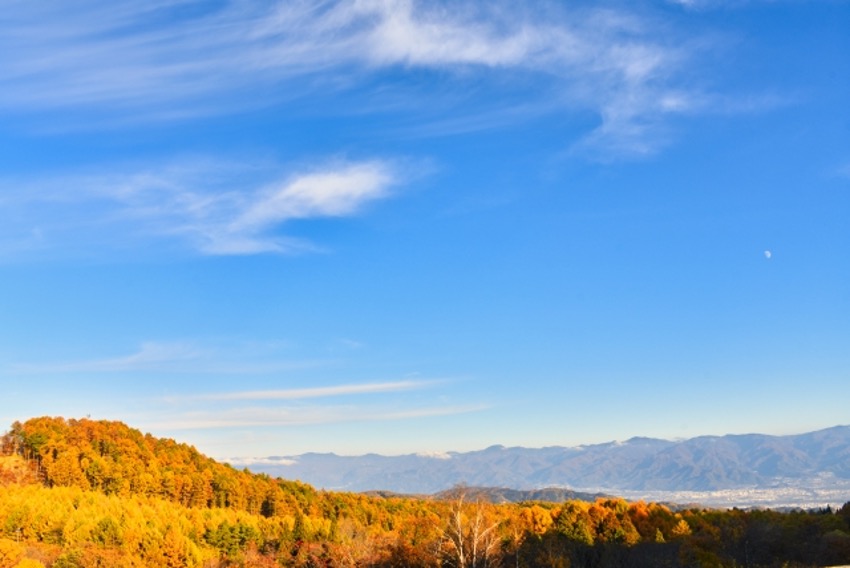 絶景が広がる紅葉