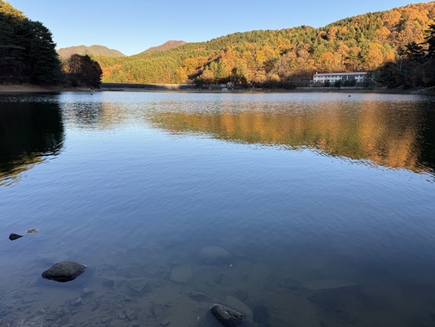 湖と紅葉