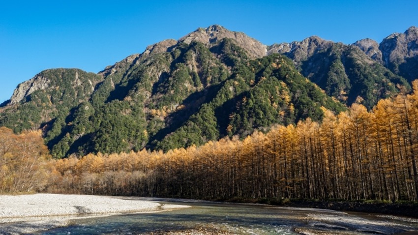 上高地の紅葉