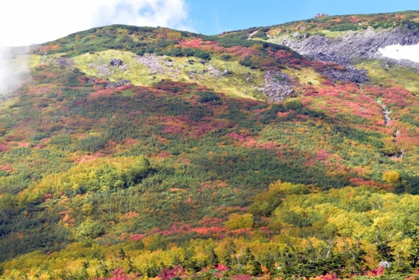 美しい紅葉の景色